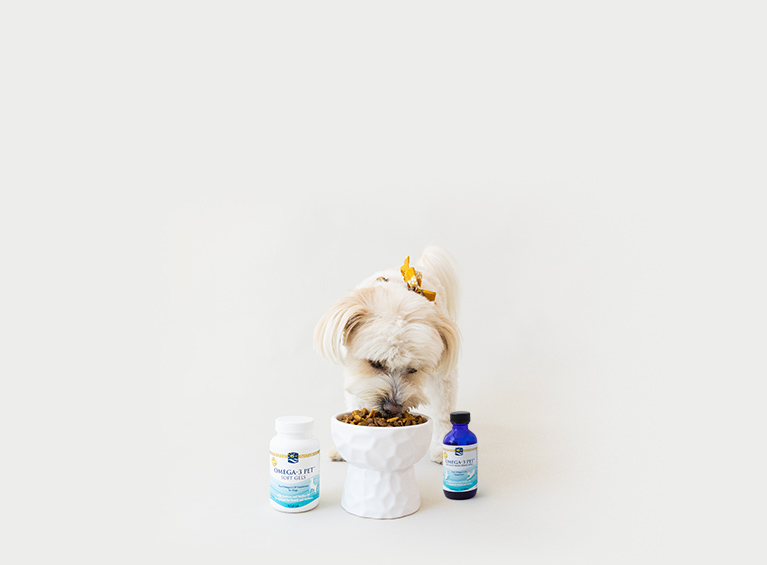 Nordic Naturals | Healthy Vitamins & Supplements For The Whole Family |  Nordic Naturals